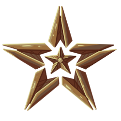 Bronze Star Icon