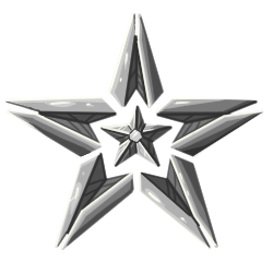Silver Star Icon
