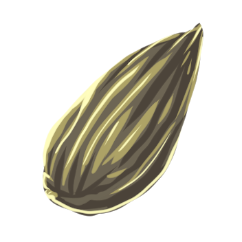 Tree Seed