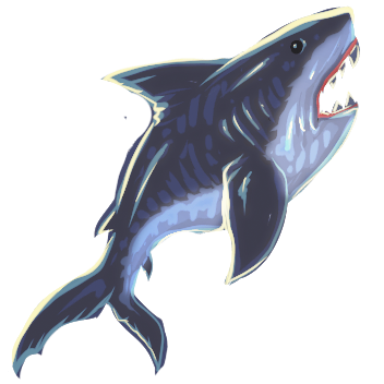 Raw Great White Shark