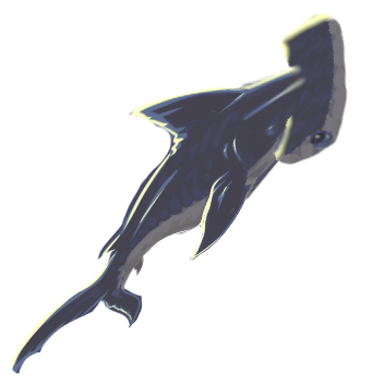Raw Hammerhead Shark